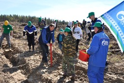 Газовики Коми посадили лес вместе с Министром природных ресурсов и экологии России
