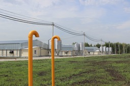 АО «Газпром газораспределение Тамбов» обеспечил газоснабжение новой площадки предприятия по производству мяса индейки в Тамбовской области